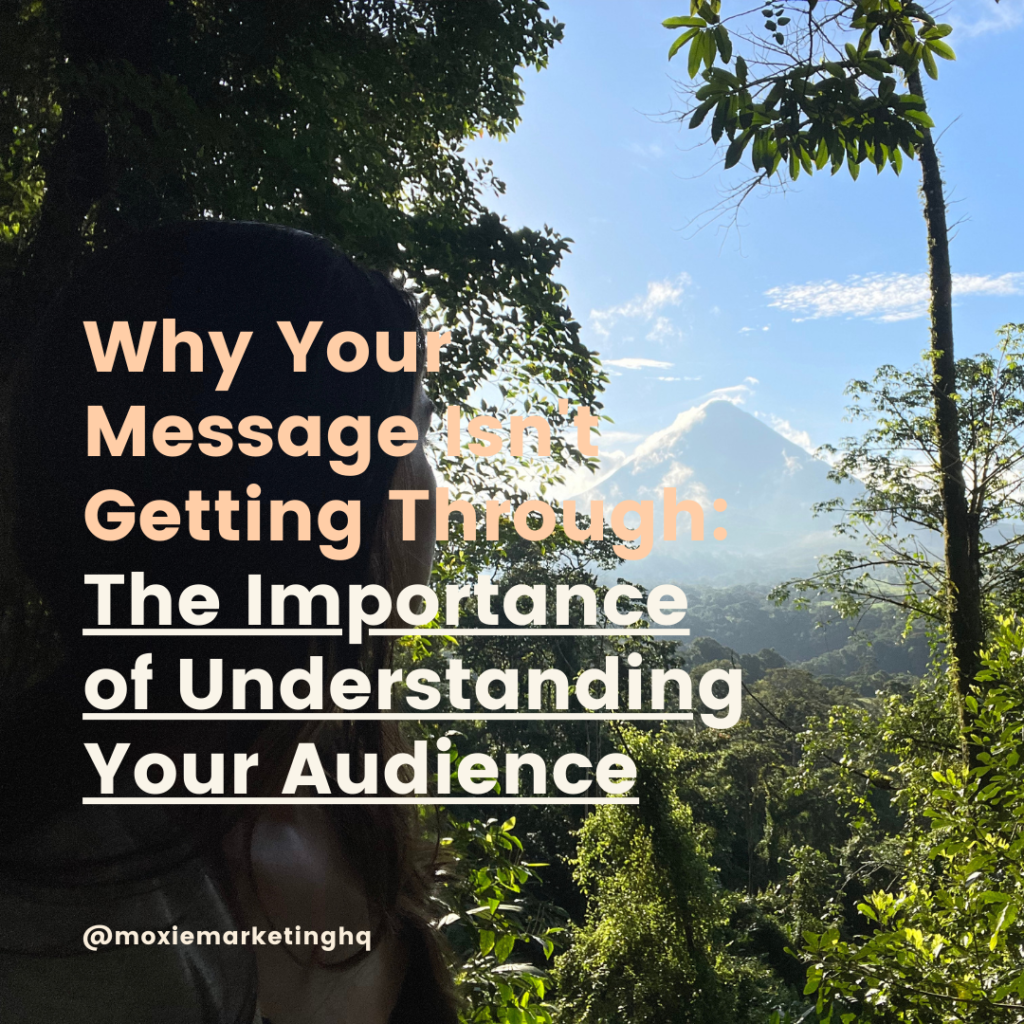 Why Your Message Isn’t Getting Through: The Importance of Understanding Your Audience